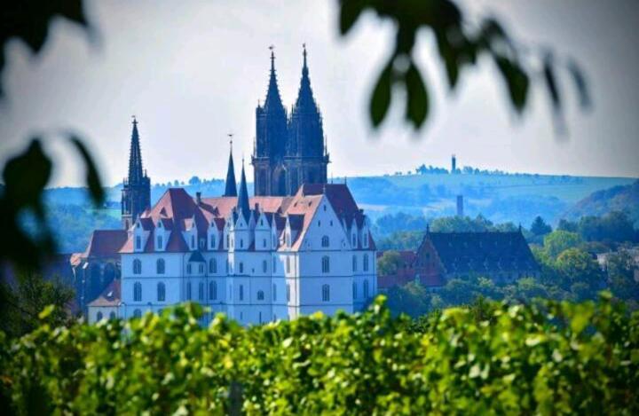 Ferienhaus Dr. Mueller Мейсен Экстерьер фото